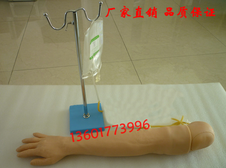 护士扎针输液手臂 手臂肌肉及静脉穿刺训练模型