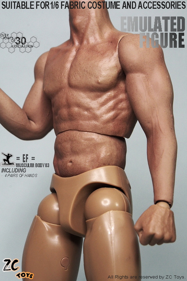 1//6 ZC Toys 12/" Muscular Figure Body For Hot Toys TTM19 Body BW//Neck
