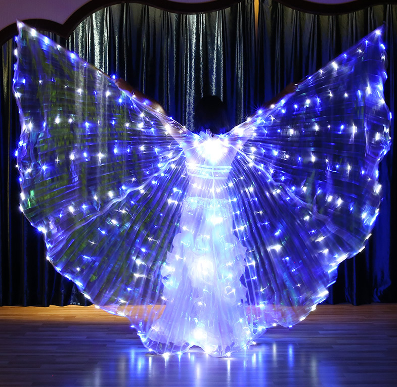 Fluorescent Butterfly Dancer Great Wings Dance Costumes Adult Prom Cloak LED Luminous Dancing Starry Sky Luminous Wings-Taobao