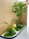 High-End Artificial Horsewood Hanging Tree for Indoor Decoration, Landscape Tree for Window Displays, Fake Plant for Stairway Landscaping