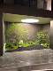 High-end simulation green maple tree landscape chicken feet maple dry landscape landscaping shopping mall teahouse window soft decoration fake tree fake plant