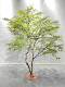 Artificial Plant Red Nandina Bamboo Indoor Landscaping Window Display Decoration Floor-Standing Ornament Nordic Style Faux Tree Green Plant