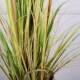 Nordic Ins-Style Artificial Onion Grass with 5 Heads, Reed Grass Green Plant Potted Decoration for Living Room and Bedroom, Fake Foxtail Grass Potted Plant