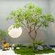Artificial Green Maple Tree, Chicken Claw Maple Bonsai, Fake Tree Floor Decoration, Tea Room Indoor Green Plant Landscaping Decoration