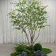 Artificial Bellflower Tree Indoor and Outdoor Window Decoration Fake Tree Horsewood Landscaping Combination Large Fake Green Plant Landscape Ornament