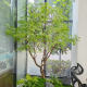 Simulated Green Maple Tree with Maple Leaves, Large Design Decorative Artificial Tree, Window Display Greenery, Indoor Artificial Plant Floor-Standing