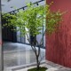 Artificial Tree Japanese Bellflower Fake Tree Horsewood Large Indoor Green Plant Floor-Standing Window Display Decoration Ornament