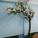 Simulated Magnolia Tree, Large Artificial Plant, Floor-Standing Floral Display, Window Decoration, Artificial Flowers, Indoor Living Room Ornament