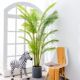 Artificial Green Plant, Faux Plant Potted, Large Nordic-Style Fake Tree, Phoenix Palm Decorative Ornament for Living Room Floor