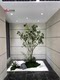 Artificial Anesthesia Wood Landscape Indoor and Outdoor Nordic Style Ornaments Window Decoration Hanging Bell Tree Large Green Plant Landscaping Combination