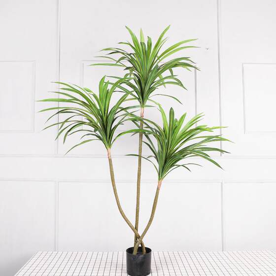 Nordic Large-Scale Artificial Dragon Blood Tree Green Plant Fake Tree Potted Plant Floor Plant Millennium Wood Living Room Decoration