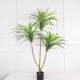 Nordic Large-Scale Artificial Dragon Blood Tree Green Plant Fake Tree Potted Plant Floor Plant Millennium Wood Living Room Decoration