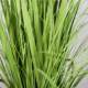 Nordic Ins-Style Artificial Onion Grass with 5 Heads, Reed Grass Green Plant Potted Decoration for Living Room and Bedroom, Fake Foxtail Grass Potted Plant