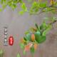Simulated island spring flower window landscaping plant indoor high-end bionic decorative tree large fake tree simple landscape