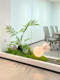 Artificial Monkey Head Fern for Zen-Inspired Landscaping, Biomimetic Green Plant, Indoor Floor-Standing Window Display, Soft Decoration, Micro-Landscape Decorative Plant
