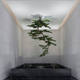 Large Hanging Artificial Welcoming Pine Tree Wall Decoration with Upside-Down Pine Branches for Indoor Display, Tea Room, Entrance, Hotel Landscaping