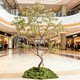 Premium Island-Style Artificial Green Plants for Indoor Decoration, Floor-Standing Ornaments, Simple Plants for Chinese-Style Tea Room Landscapes