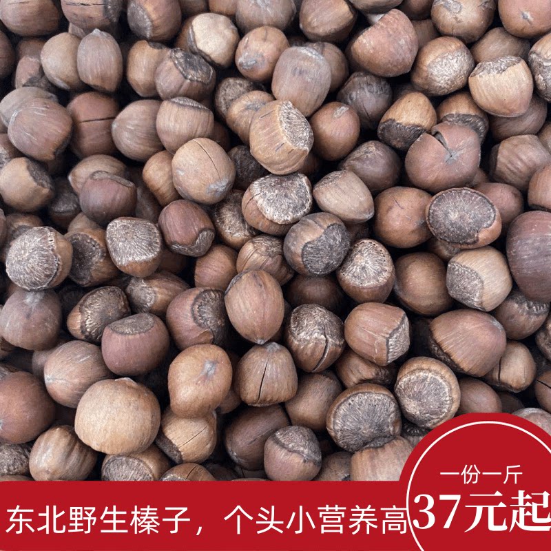 22 years Xinxing Xingan Yichun wild and stupid hazelnut pregnant woman nuts 500g