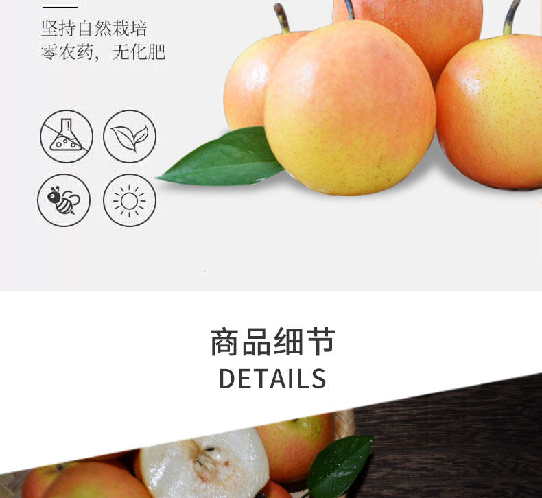 蒙福果鲜 辽宁鞍山 南果梨 带箱5斤 图3