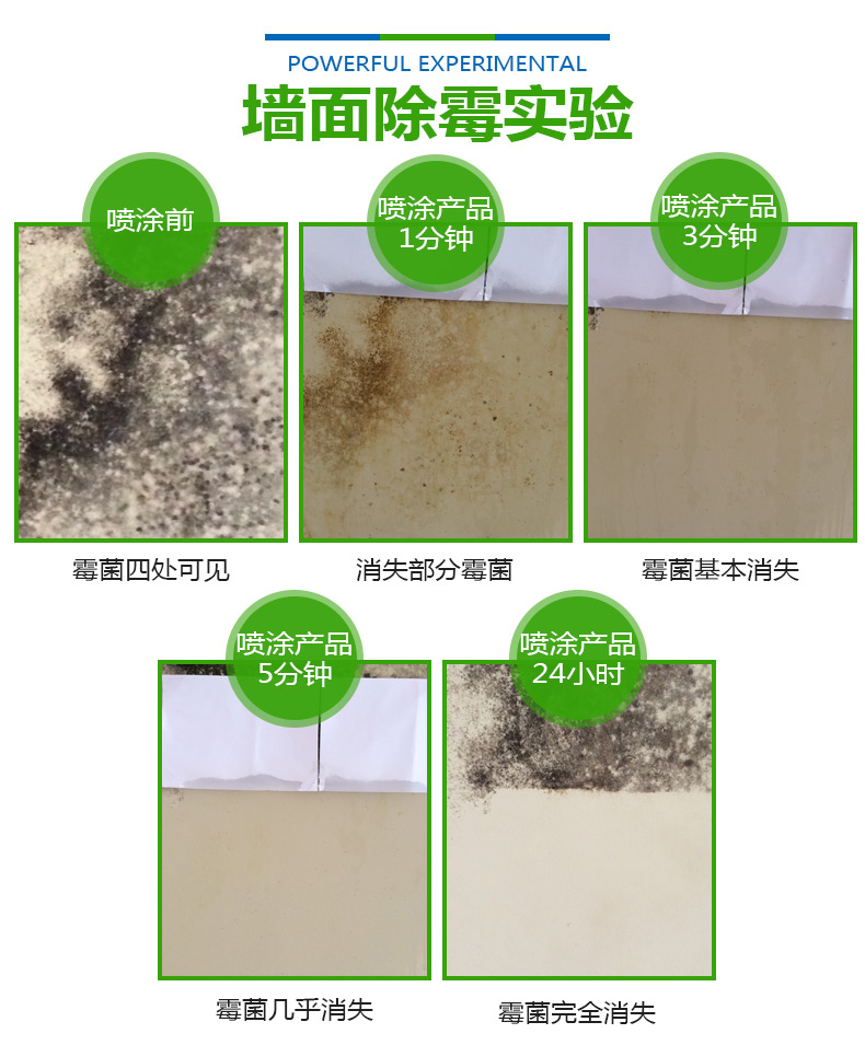 Wakener nấm mốc tường tẩy tường khuôn đại lý - Trang chủ nước tẩy rửa nhà vệ sinh chuyên dụng