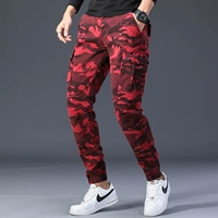 R9011 Wine Camouflage Camouflage