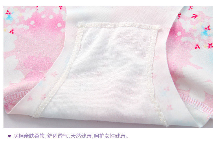 Slip REALWILL 525314_01 - Ref 667529 Image 17