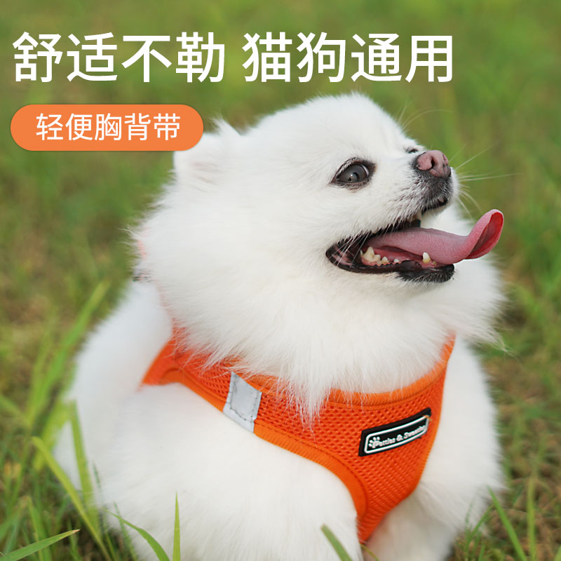 Dog cat pet traction rope small dog dog rope chain walking dog rope vest type teddy corgi chest holding baby bag