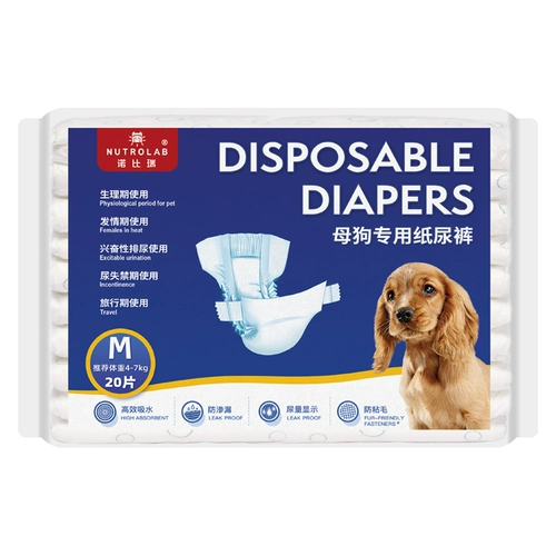 Физиологические штаны для собак, подгузники домашних животных плюшевая моча без влажной суки Специальные тети