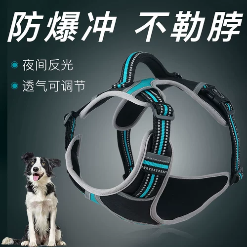 Торкция собачьего жилета Тедди Фонд члена Мао Сяо, Средняя большая собака собака Барт Барт и обратная прогулка для собак веревка