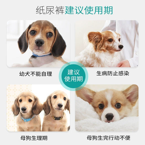 Физиологические штаны для собак, подгузники домашних животных плюшевая моча без влажной суки Специальные тети