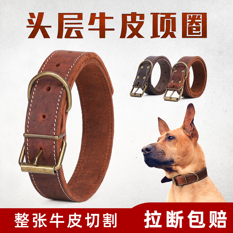 Peel dog neck neck neck neck for gold Maoid Teddy Pets Small Dog Medium Dog Large dog