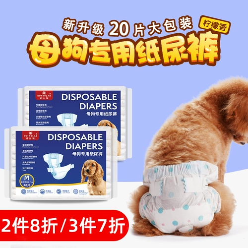 Физиологические штаны для собак, подгузники домашних животных плюшевая моча без влажной суки Специальные тети