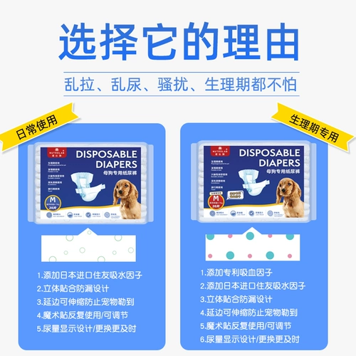 Физиологические штаны для собак, подгузники домашних животных плюшевая моча без влажной суки Специальные тети