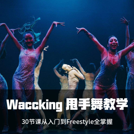 Waacking甩手舞入门自学街舞视频教程学跳舞