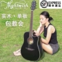 Single Board Guitar Nightwish Lavis Mises C Guitar Ballad 41 Inch Người mới bắt đầu Nam và Nữ Sinh viên Nhạc cụ - Nhạc cụ phương Tây kèn trumpet