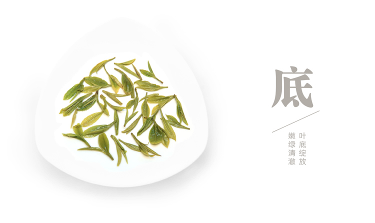 研茶园茶叶正宗龙井茶青绿茶春茶