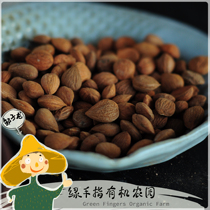 Green finger wild bitter almond (north almond) *Wild Bitter Almonds) The cooperative production of the