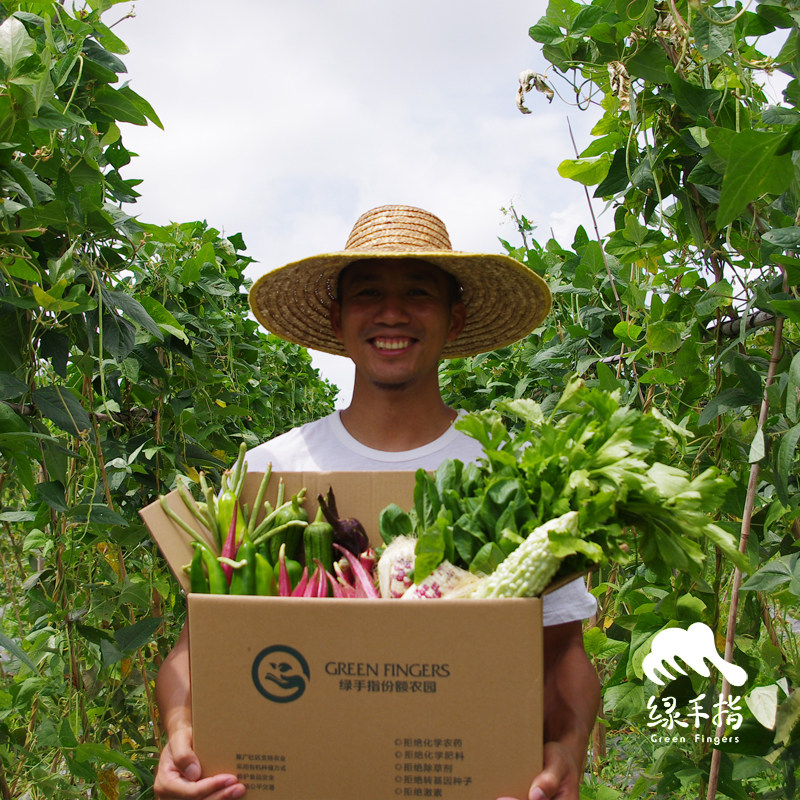 Long-term share of green finger organic vegetables (delivery of wall-breaking machine) - Guangdong Express GreenFingers Zou Zilong