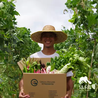 Green finger national air transport vegetables 9 times Experience share (9 Jin times) GreenFingers organic Zou Zilong