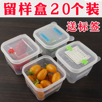 HDHE restaurant School canteen Kindergarten food sample box Small food food sample special 20pcs