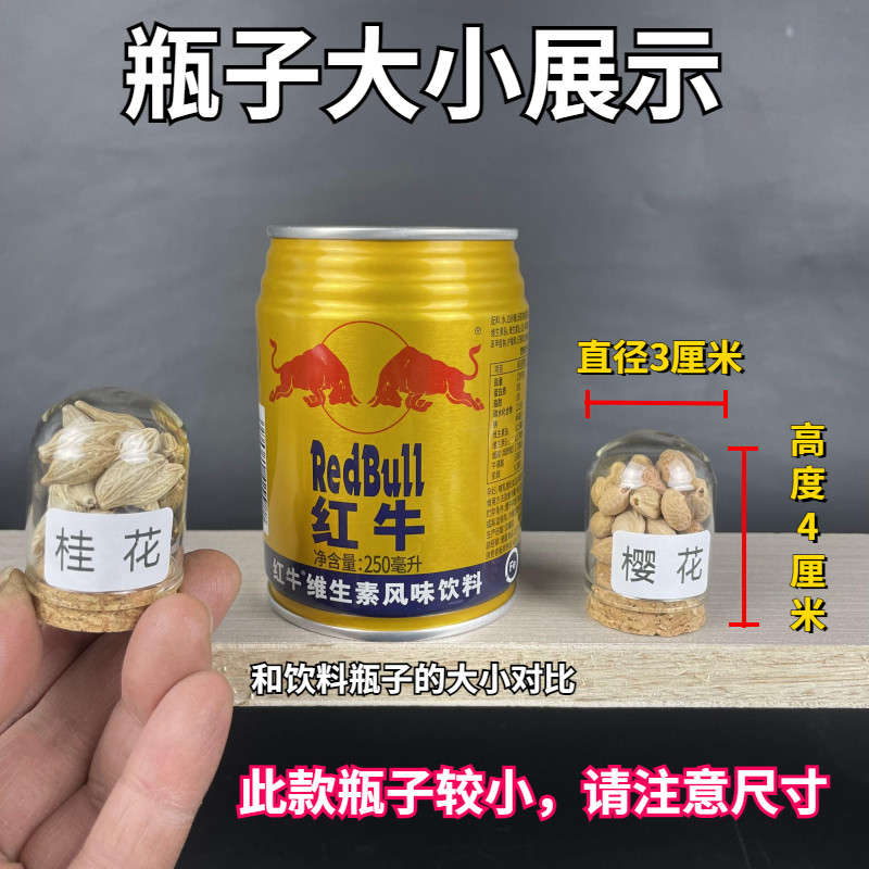 如何利用204种植物玻璃瓶种子进行校园教育活动？