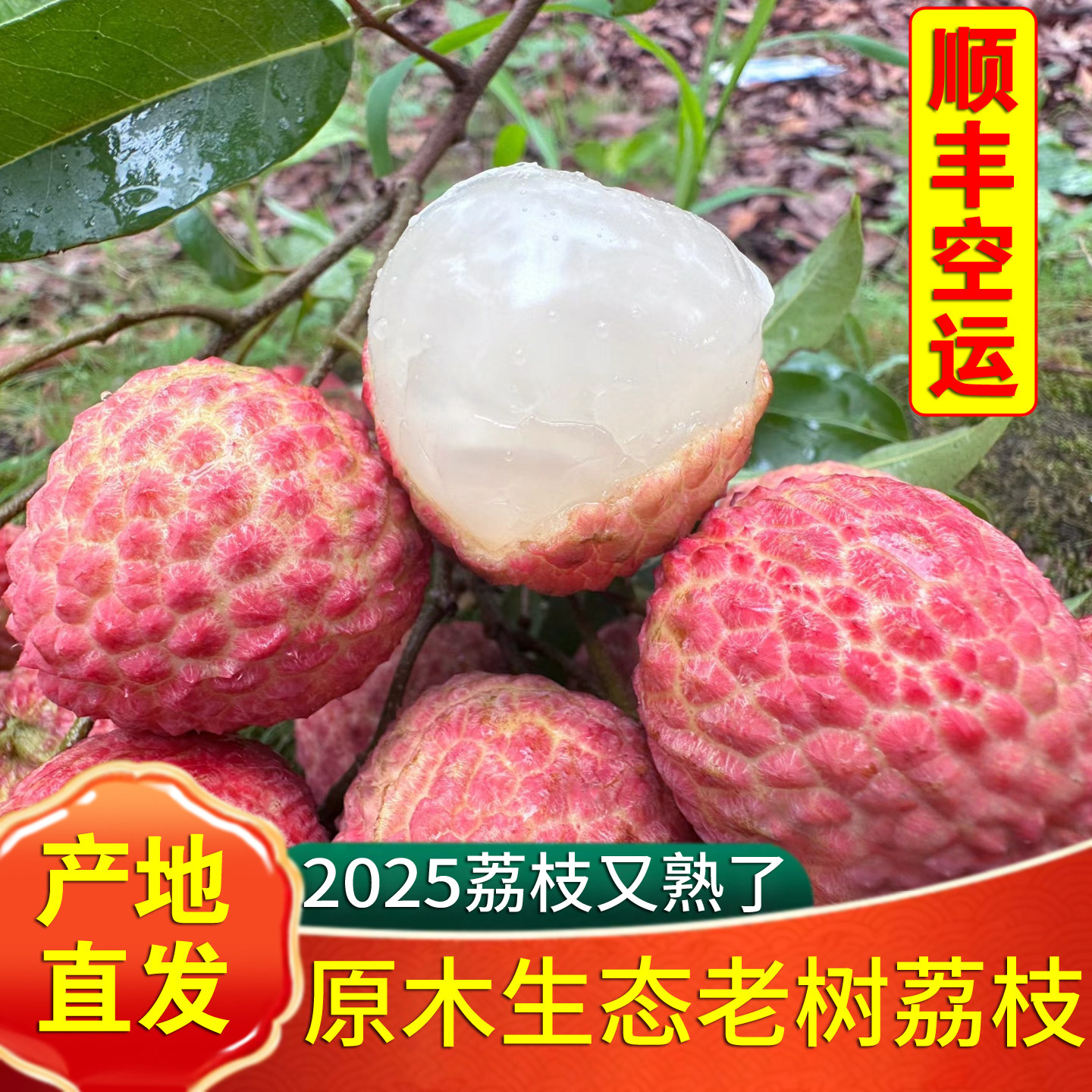 2025年新鲜高州老树白糖罂荔枝,广东茂名糯米妃糍子笑现摘大水果5斤!甜到心里去!-荔枝-淘宝好物网