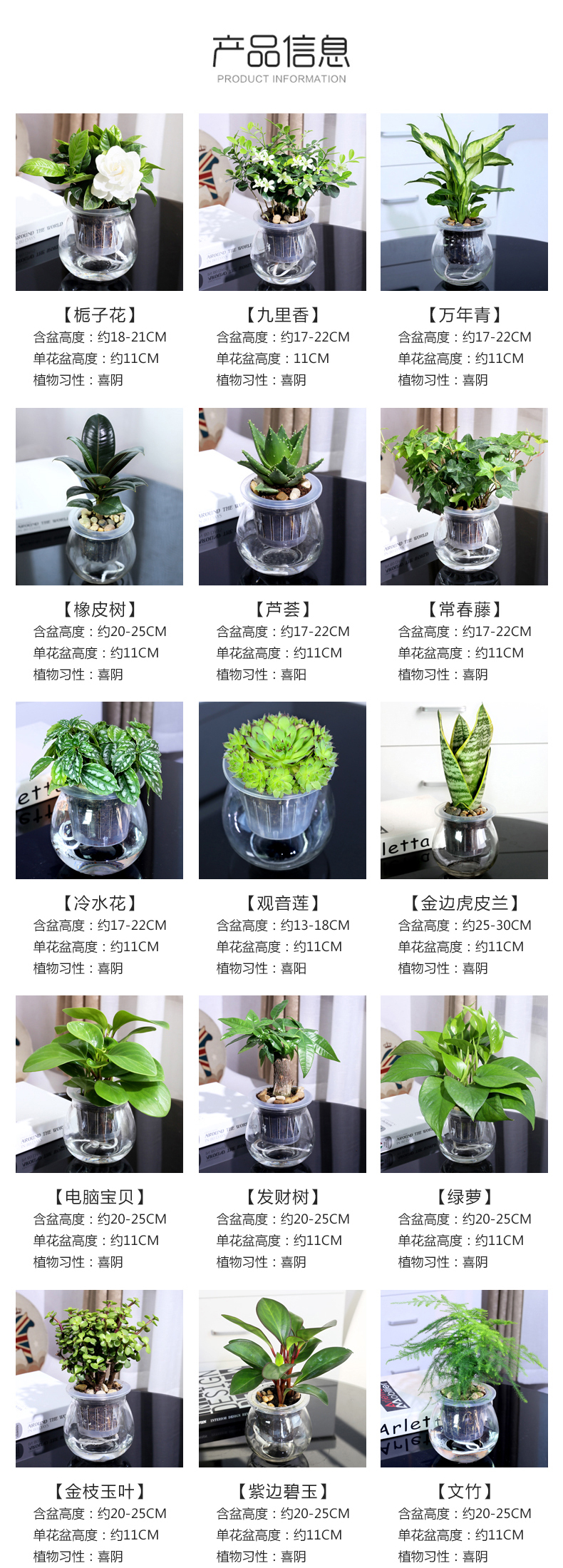 Lazy fleshy flowerpot creative ceramic refers to copper grass indoor hydroponic the plants potted meat meat automatic water basin