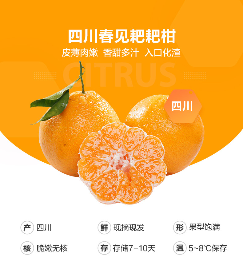 Sichuan Spring Seeing 耙 耙 _ _01.jpg