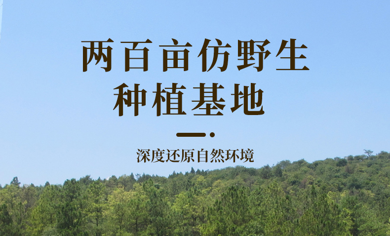 北京同仁堂指定供货商：5g 斛小鲜 5年生正宗霍山铁皮石斛枫斗 6.34元包邮 买手党-买手聚集的地方