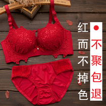 This years underwear suit female sexy lace gathering bra red wedding without steel ring small bra thickening