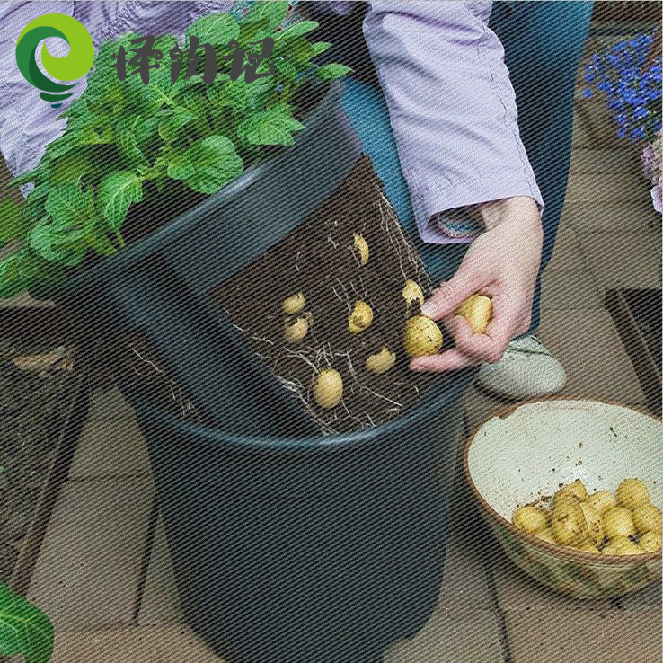 Potato planting pot Planting bucket Indoor balcony Vegetable planting pot artifact Kindergarten Children's natural science pot