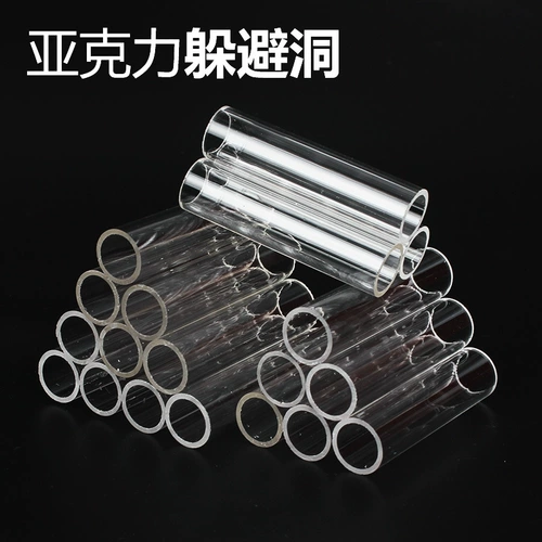 Акриловые кристаллические креветки креветки креветки, уклоняющийся от ямы, бар, рыба, уклоняется от дома, наблюдая