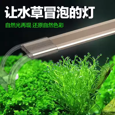 Adjustable fish cylinder lamp LED aquatic grass lamp stand grass cylinder lamp aquarium waterproof Air lighting full spectrum algae bracket lamp holder