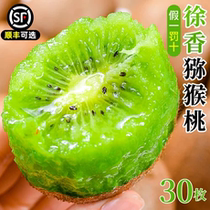 Authentic Xuxiang kiwi 30 extra large fruits Shaanxi Mei County fresh fruits seasonal green kiwi kiwi fruit